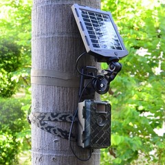 Solar Panel 12V 1A 6V 1.5A 2000mAh Battery Charger Kit for Trail Camera Outdoor