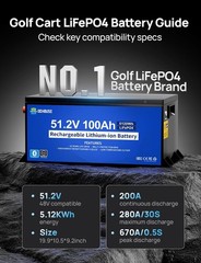 DC HOUSE 48V 100AH Golf Cart Lithium LiFePO4 Battery with 18A Charger Bluetooth
