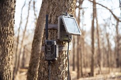 Solar Battery Pack 12V 1000 MAH for Trail Camera 2 Pack with Adapters
