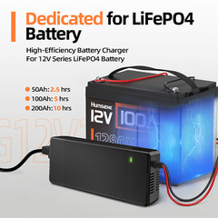 Humsienk 12V 20A LiFePO4 Battery Charger Fast Charging Protection for RV Marine