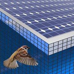 100ft Iron Mesh Rodent Barrier Solar Panel Bird Guard For Roof/garden/farmhouse