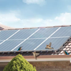 6 In. X 100 Ft. Solar Panel Bird Guard, Critter Guard Roll Kit with 100 Aluminum