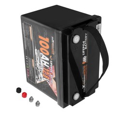 12V 100Ah Lithium Iron Phosphate Battery for RV Low Temp Charging Protection