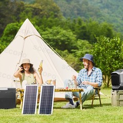 2 x 200W High-Efficiency PV Panels + 100A Intelligent Controller for Outdoor