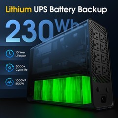 GOLDENMATE 1000VA/800W Lithium UPS Battery Backup & Surge Protector, Backup B…