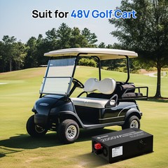 48V 2000W Pure Sine Wave Inverter 25A Lithium Battery Charger 2 in 1 Golf Carts