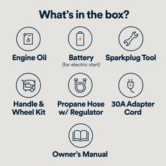 Generac Dual Fuel Portable Gas Generator, 8,250 Starting Watts, Electric Star…