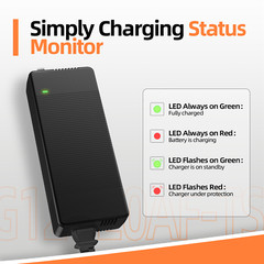 Humsienk 12V 20A LiFePO4 Battery Charger Fast Charging Protection for RV Marine