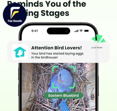 Bird House with Camera Solar Powered with Iron Guard for Outside AI Identify
