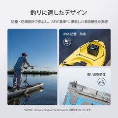 Renogy Core Mini 12V 100Ah LiFePO4 Lithium Battery, Ultra-Compact