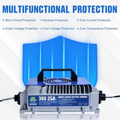 36V 100Ah Lithium Golf Cart Battery with 25A Charger Golf Cart Trolling Motor RV