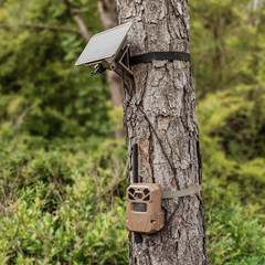 Moultrie 3.4 Watt Solar Power Pack for Trail Cameras, 3350mAh Battery Pack USB-C