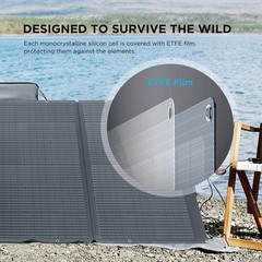 EF ECOFLOW Solar Generator 3.6KWh DELTA Pro with, DELTA Pro+400W Solar Panel