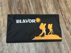 BLAVOR 30 Watt foldable solar panel with USB