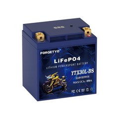 Lithium YTX20L-BS, 700A LiFePO4 Motorcycle Battery, 12V 10AH ATV, UTV, Jet Sk…