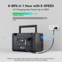 Flashfish T300PRO Portable Power Station 300W 230Wh Solar Generator 110V Lifepo4