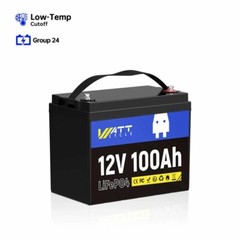 12V 100Ah LiFePO4 Lithium Battery 100A BMS for RV Off-grid Trolling Motor