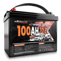 12V 100Ah LiFePO4 Battery for Marine Cold Weather Charging Protection, BMS