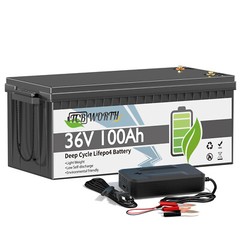 36V 100Ah LiFePO4 Lithium Battery 200A BMS 3840Wh For Golf Cart Marine Off-grid