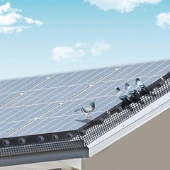 8» x 100′ Solar Panel Guard with Rust-proof PVC Coating 1/2 inch Wire Roll Mesh