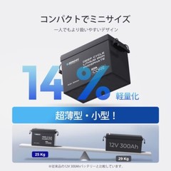 Renogy Core Mini 12V 300Ah LiFePO4 Lithium Battery, 5000+ Deep Cycle 200A BMS