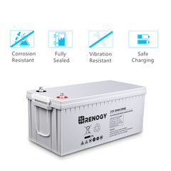 Renogy 12V 200AH Deep Cycle AGM Battery Rechargable for RV Solar Marine Off-Grid