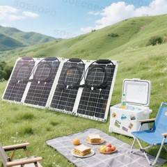 4 x 40W High-Efficiency PV Panels + 30A-100A Intelligent Controller for RV/Home