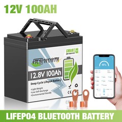 Mini 12V 100Ah LiFePO4 Lithium Battery Deep Cycle for RV Off-grid Trolling Motor