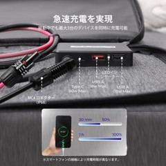 Renogy 100W Portable Solar Panel