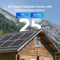 Renogy 16BB N-Type 175W Watt 12 Volt Monocrystalline PV Off-Grid Power Module