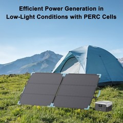 Portable Solar Panel 110W Bifacial for EcoFlow RIVER 2 Pro DELTA 3 Power Station