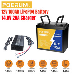 12.8V 100Ah LiFePO4 Lithium Battery with Charger 14.6V 20A for RV Off-Grid BMS