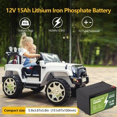 NEW 12V 11Ah LiFePO4 Lithium Iron Phosphate Battery With BMS Deep 3000+ Cycle