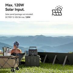Flashfish T300PRO Portable Power Station 300W 230Wh Solar Generator 110V Lifepo4