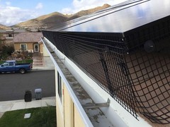 Solar Panel Bird Guard Clips, 100 Sets Stainless Steel J Hooks for Wire | Sta…