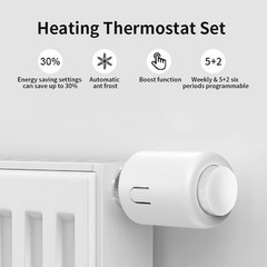 Wireless Programmable Thermostat with App Control for Energy Efficiency