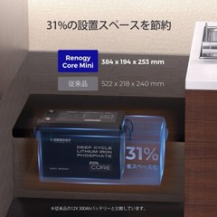 Renogy Core Mini 12V 300Ah LiFePO4 Lithium Battery, 5000+ Deep Cycle 200A BMS