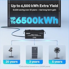 Renogy ShadowFlux 200W Solar Panel N Type 12V 2 Pack