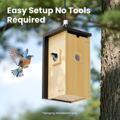 Solar Bird House with Camera, 1080P HD, Night Vision & AI Detection