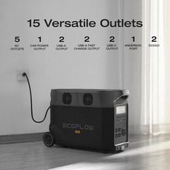 EcoFlow 3600Wh DELTA Pro Power Station with Transfer Switch & Adapter Cord
