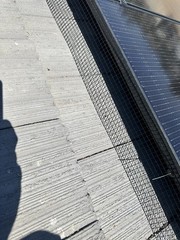 Solar bird proofing and cleaning