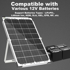 High-Efficiency 30W Solar Battery Charger with Adjustable Mount & 10A Controller