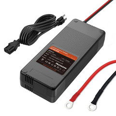 Humsienk 12V 20A LiFePO4 Battery Charger Fast Charging Protection for RV Marine
