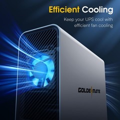 Goldenmate Back-UPS 1000VA/800W LiFePO4 Battery Backup UPS Pure Sine Wave