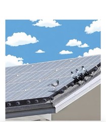 Solar Panel Bird Wire Guard Kit PVC Welded Mesh Roof Pigeon Net 6in/8in x100ft