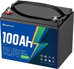 12V 100Ah LiFePO4 Battery Group 24 Deep Cycle 4000+ Cycles RV Solar Trolling