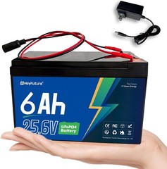 24V 6Ah LiFePO4 Battery Pack 6A BMS 29.4V Charger Included DIY Speaker UPS