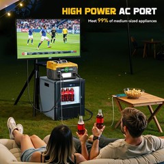 550W Power Station Compatible with Dewalt: LIVOWALNY Portable Generator DC