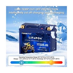 Lithium Motorcycle Battery, Forgetyo YTX20L-BS LiFePO4 Battery, 12V 10AH 700A…