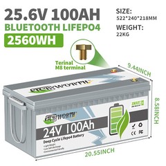 24V 100Ah LiFePO4 Lithium Battery BMS 2.56kWh for RV Off-grid Solar Marine Camp